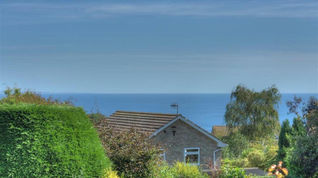 Little West Hill Studio Lyme Regis Exteriér fotografie