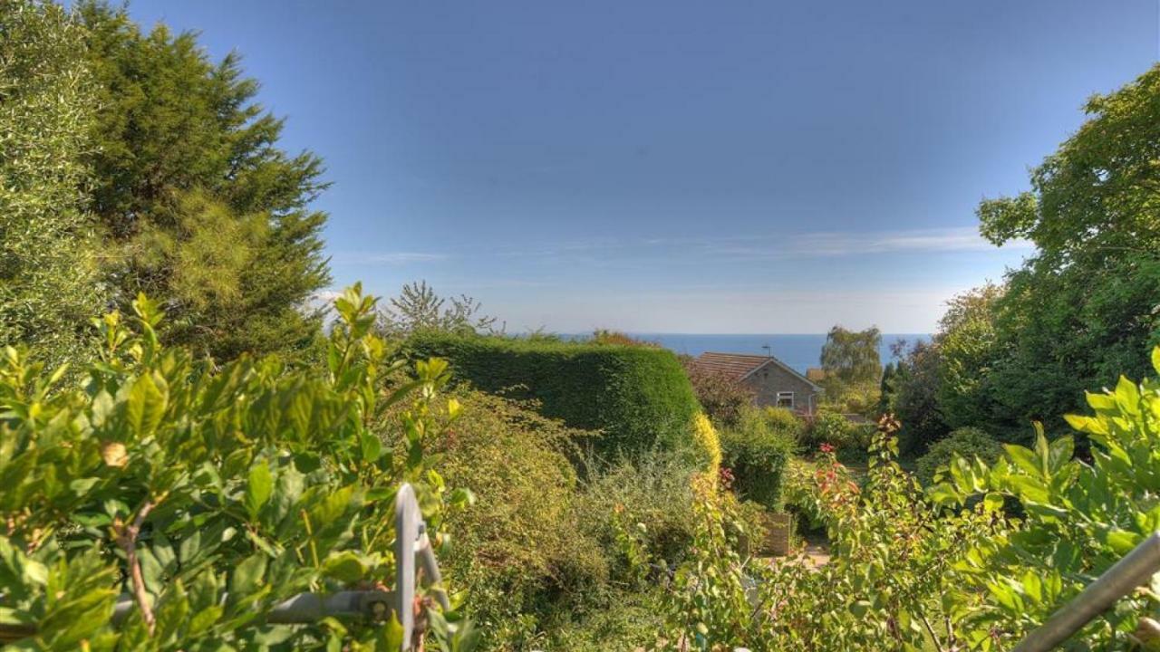 Little West Hill Studio Lyme Regis Exteriér fotografie